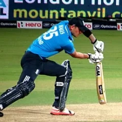 Alex Hales height profile photo