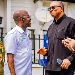 Alex Otti height profile photo