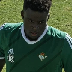 Alfred N'Diaye height profile photo