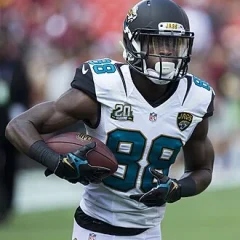 Allen Hurns height profile photo