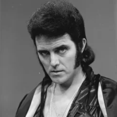 Alvin Stardust height profile photo