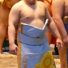 Aonishiki Arata height profile photo