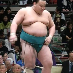 Asahishō Kōta height profile photo