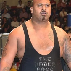Bad Luck Fale height profile photo