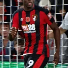 Benik Afobe height profile photo