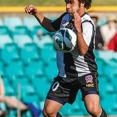 Bernardo Ribeiro height profile photo