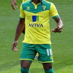 Cameron Jerome height profile photo