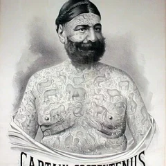 Captain George Costentenus height profile photo