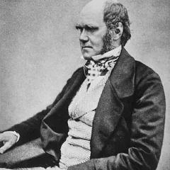 Charles Darwin height profile photo