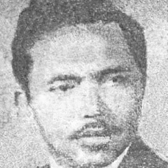 D. Djajakusuma height profile photo