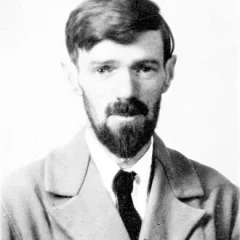 D. H. Lawrence height profile photo