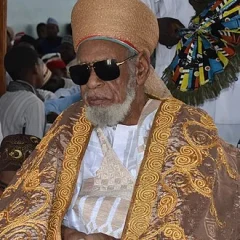 Dahiru Usman Bauchi height profile photo