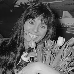 Daliah Lavi height profile photo