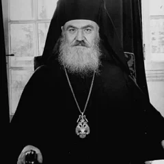 Damaskinos of Athens height profile photo