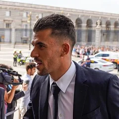 Dani Ceballos height profile photo