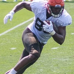 Darren Fells height profile photo
