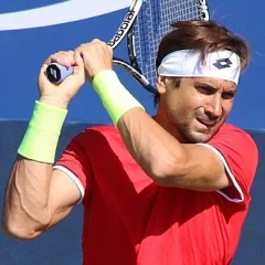 David Ferrer height profile photo