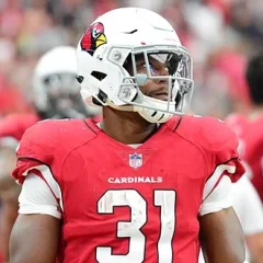 David Johnson (running back) height profile photo