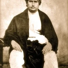 Dayananda Saraswati height profile photo