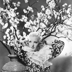 Dixie Lee height profile photo