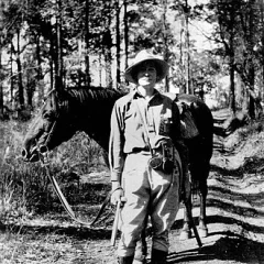 Dorothy Hill height profile photo