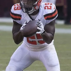 Duke Johnson height profile photo
