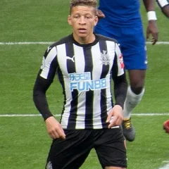 Dwight Gayle height profile photo