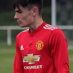 Dylan Levitt height profile photo