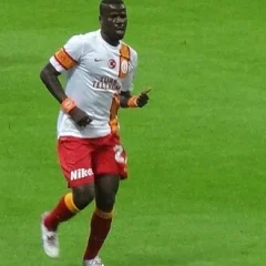 Emmanuel Eboué height profile photo