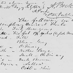 Eunice Newton Foote height profile photo