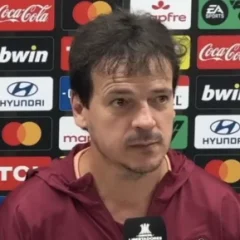 Fernando Diniz height profile photo