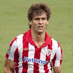 Fernando Llorente height profile photo