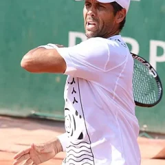 Fernando Verdasco height profile photo