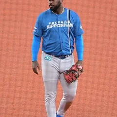 Franmil Reyes height profile photo