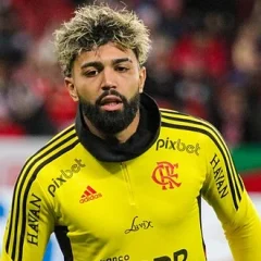 Gabriel Barbosa height profile photo