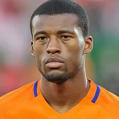 Georginio Wijnaldum height profile photo