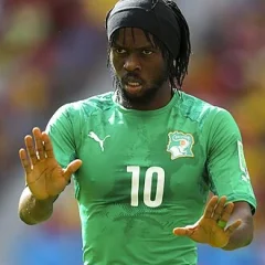 Gervinho height profile photo