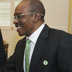 Godwin Emefiele height profile photo