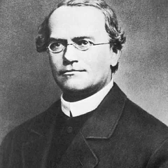 Gregor Mendel height profile photo
