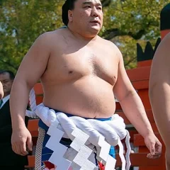 Harumafuji Kōhei height profile photo