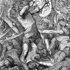 Hereward the Wake height profile photo