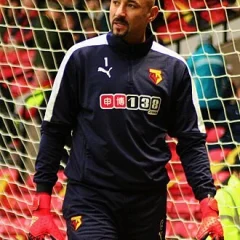 Heurelho Gomes height profile photo