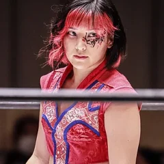 Hikaru Shida height profile photo