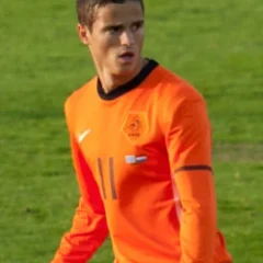 Ibrahim Afellay height profile photo