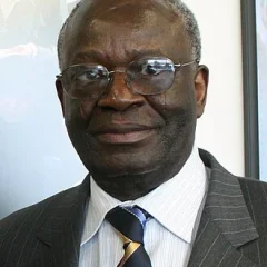 Ibrahim Gambari height profile photo