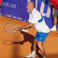 Ivan Ljubičić height profile photo