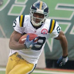 Jerricho Cotchery height profile photo