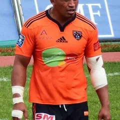 Jerry Collins height profile photo