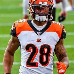 Joe Mixon height profile photo