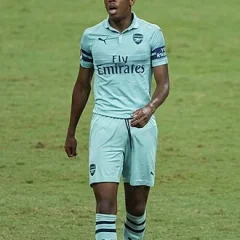 Joe Willock height profile photo